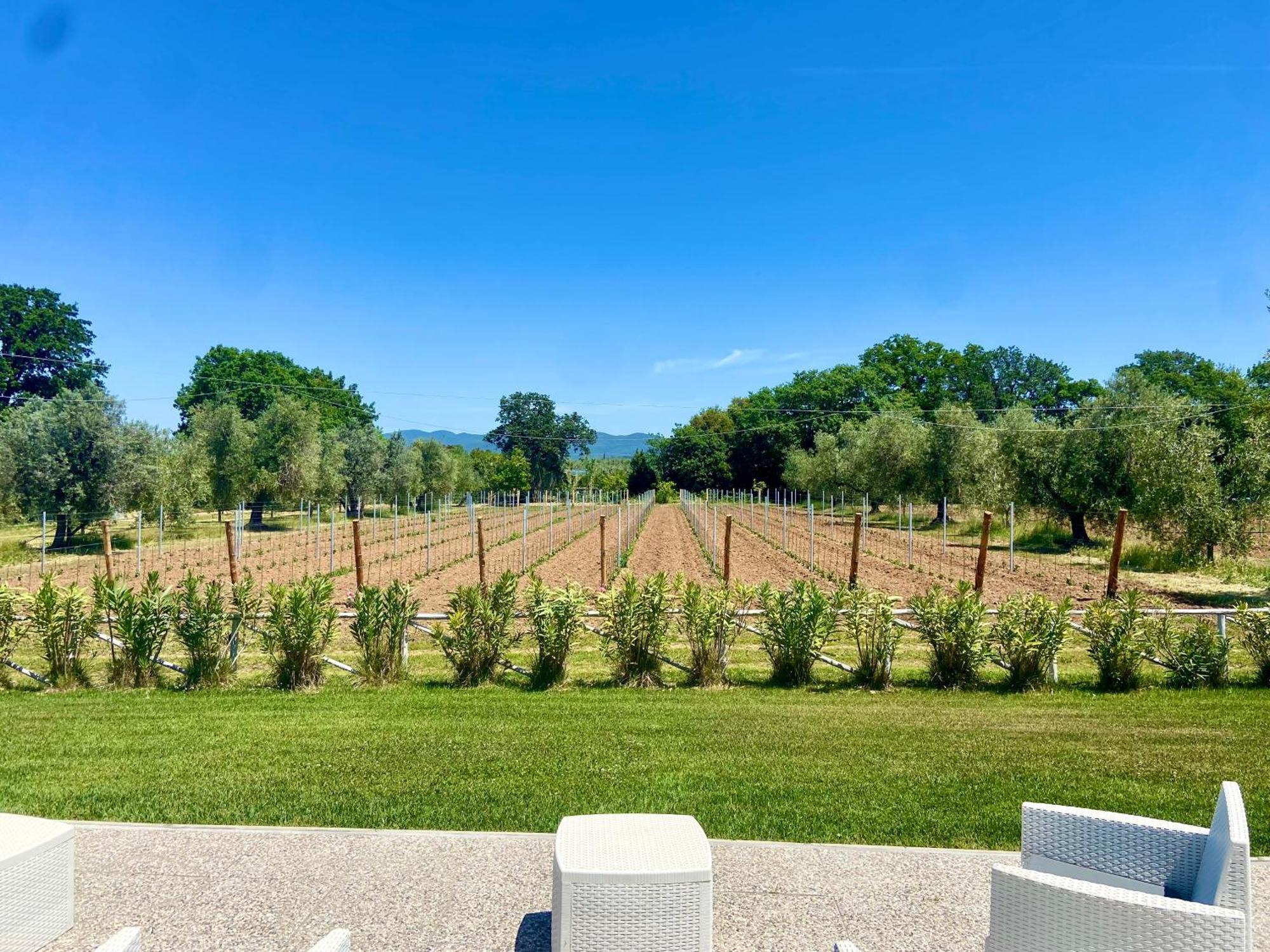 Agriturismo Re Di Fiori Donoratico Exterior foto