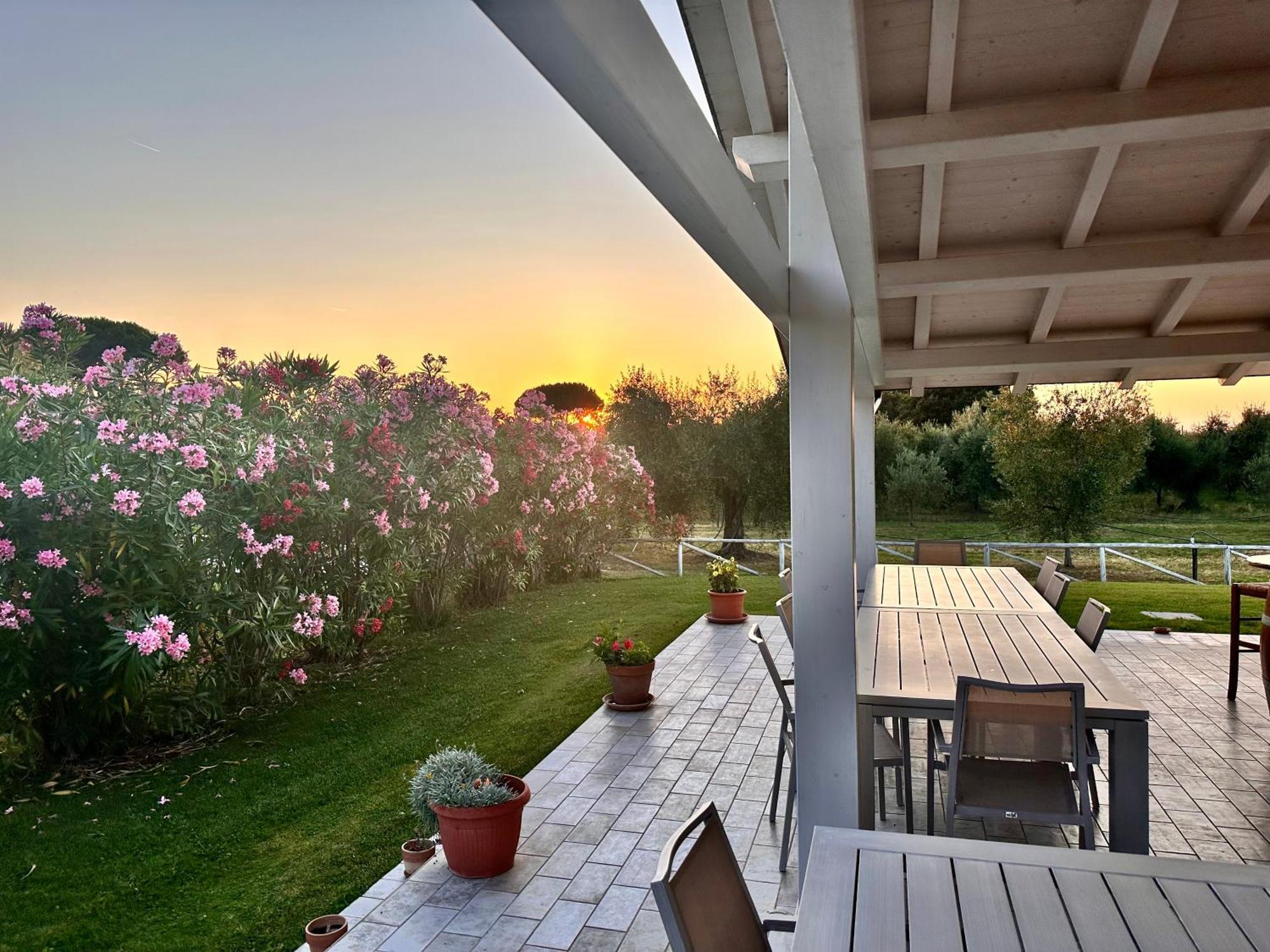 Agriturismo Re Di Fiori Donoratico Exterior foto