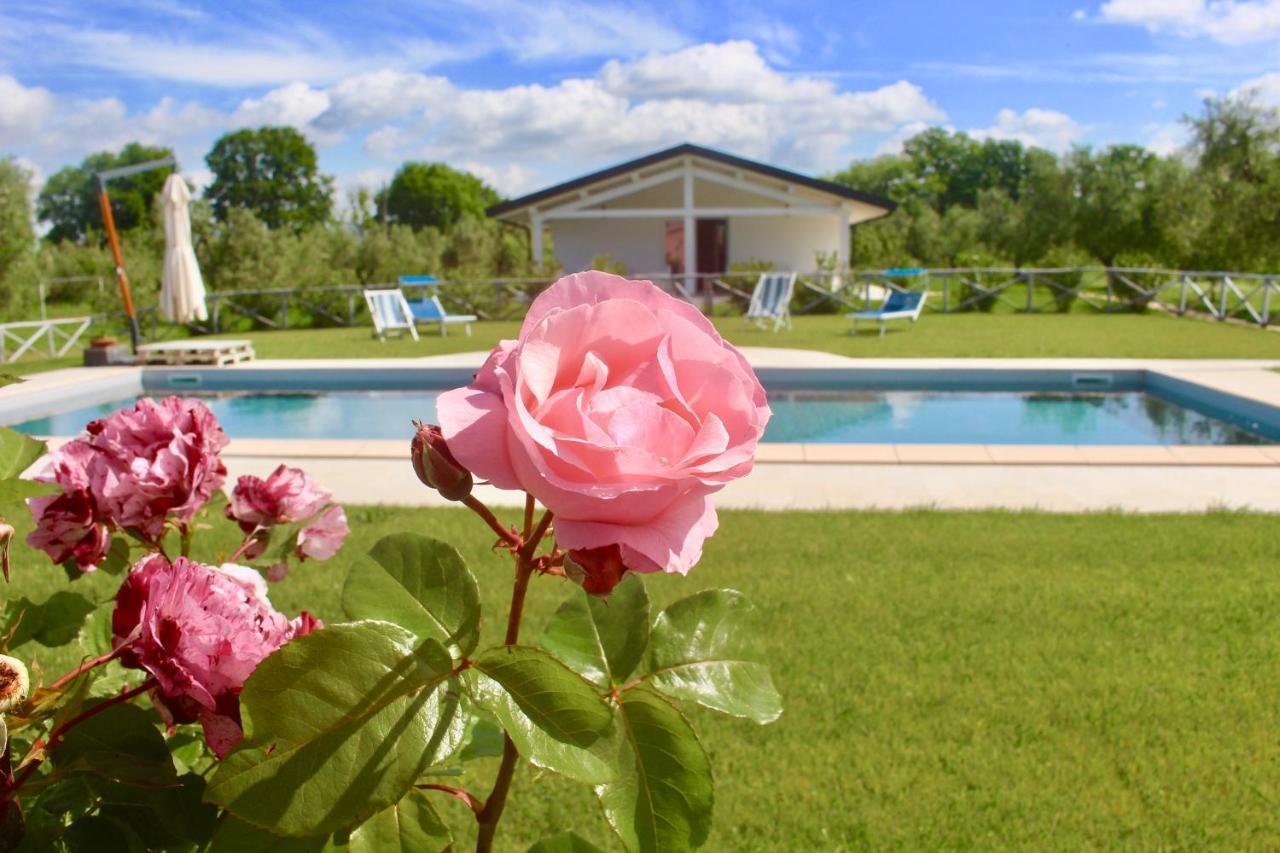 Agriturismo Re Di Fiori Donoratico Exterior foto
